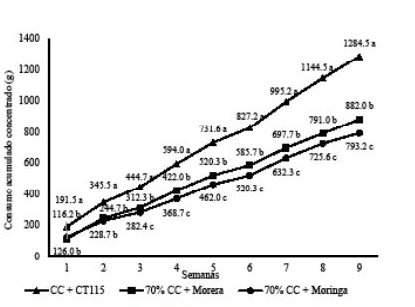 Consumo acumulado de concentrado comercial de cobayos suplementados con follaje de fresco de Morus alba y Moringa oleifera.
