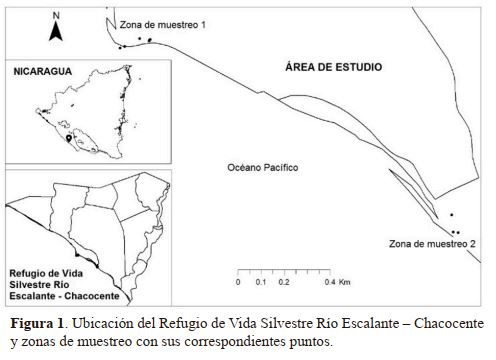 Ubicación del Refugio de Vida Silvestre Río Escalante - Chacocente y zoncas de muestreo con sus correspondientes puntos.