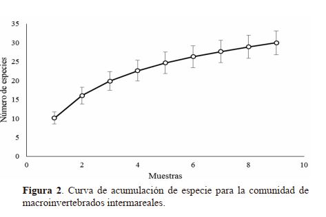 Curva de acumulación de especie para la comunidad de macroinvertebrados intermareales.