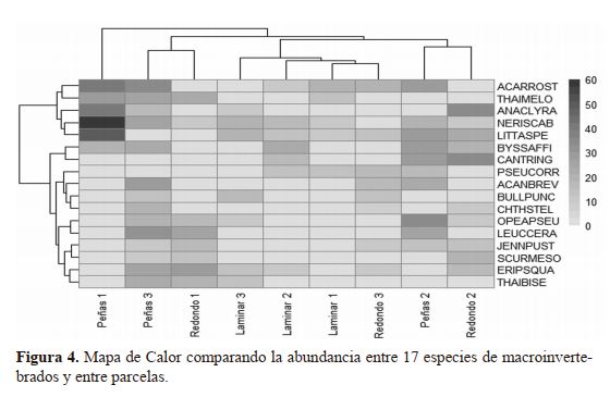 Mapa de Calor comparando la abundancia entre 17 especies de macroinvertebrados y entre parcelas.