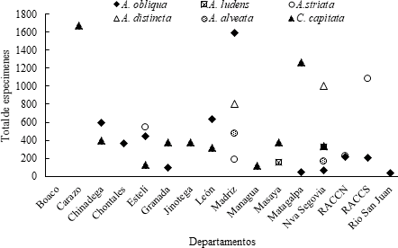 Fluctuación poblacional de adultos capturados de especies de
moscas de las frutas, en los departamentos de Nicaragua.