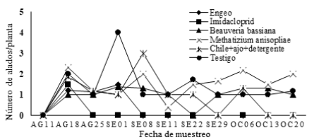 Fluctuación
poblacional de alados de M. sacchari. en
los tratamientos evaluados.