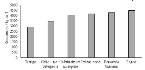 Comparación
del rendimiento total en kg ha-1 de las parcelas de sorgo por
tratamientos evaluados. 

 