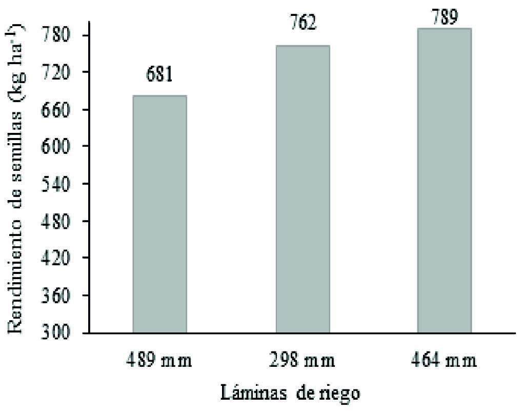 Rendimiento de
semilla por influencia de l&aacute;minas de riego.