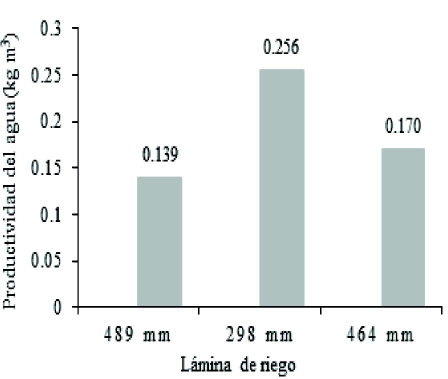  Productividad
de agua seg&uacute;n l&aacute;minas de riego.
