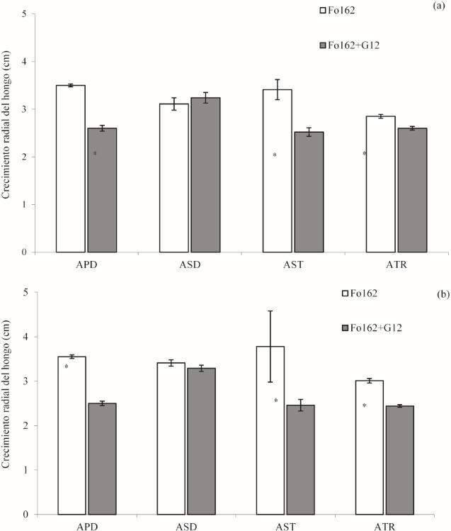 Efecto de G12 sobre sobre el crecimiento radial de Fo162 en condiciones in vitro. Barras verticales representan el error estándar de la media. El asterisco indica diferencia significativa según la prueba de t para muestras independientes (p<= 0.05, n=10). (a) Bioensayo 1 y (b) Bioensayo 2. 