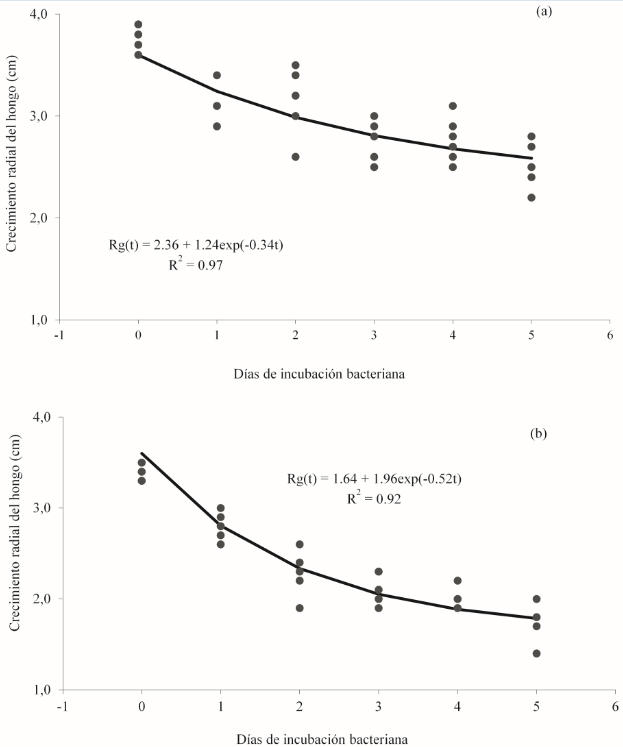 Efecto de G12 sobre el crecimiento radial de Fo162 en condiciones in vitro. (a) Bioensayo 1 y (b) Bioensayo 2.