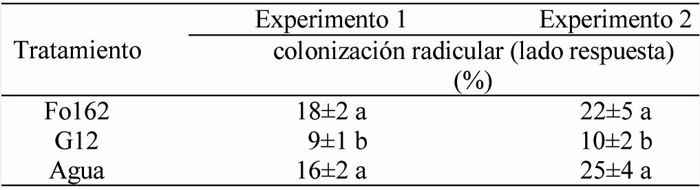 Actividad sistémica de G12 en la colonización radicular de Fo162