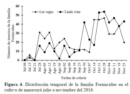 Distribución temporal de la familia Formicidae en el cultivo de maracuyá julio a noviembre del 2016.