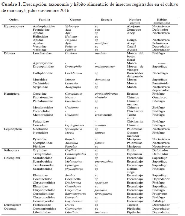 Descripción, taxonomía y hábito alimenticio de insectos registrados en el cultivo de maracuyá, julio-noviembre 2016.