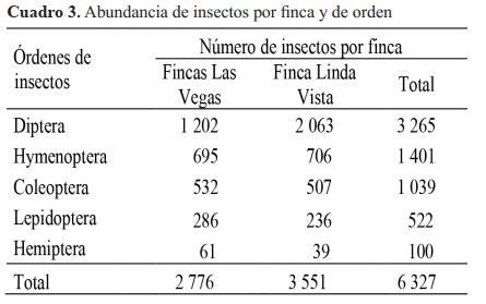 Abundancia de insectos por finca y de orden