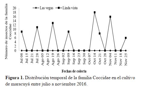 Distribución temporal de la familia Coccidae en el cultivo de maacuyá entre julio a noviembre 2016.