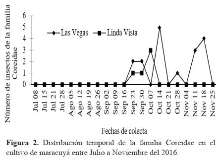 Distribución temporal de la familia Coreidae en el cultivo de maracuyá entre julio a noviembre del 2016.