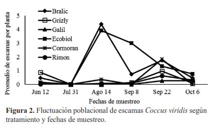 Fluctuación poblacional de escamas (Coccus viridis) según tratamiento