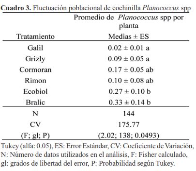 Fluctuación poblacional de cochinilla Planococcus spp