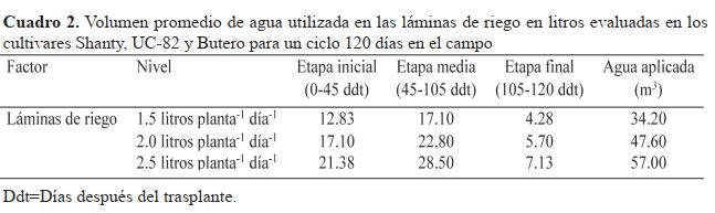 Volumen promedio de agua utilizada en las láminas de riego en litros evaluadas en los cultivares Shanty, UC-82 y Butero para un ciclo 120 días en el campo