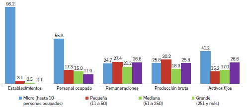 Figura 2.  Caracter&iacute;sticas econ&oacute;micas seg&uacute;n variables seleccionadas por tama&ntilde;o de los establecimientos,
    2013.