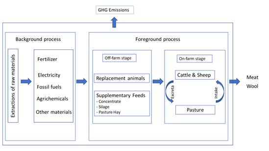 Diagram of ghg emissions accounted for in the
production systems