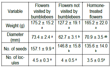 Means of the different fruit quality
variables measured in tomatoes obtained from flowers visited and not visited by
bumblebees, and in flowers treated with hormones in Experiment 2. Different
letters indicate significant differences (P<0.05) for the anova test.