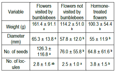 Means of the different fruit quality
variables measured in tomatoes obtained from flowers visited and not visited by
bumblebees, and in flowers treated with hormones in Experiment 2. Different
letters indicate significant differences (P<0.05) for the anova test.