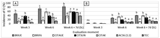 Incidence of chilling
injury (ci) on orange fruits var.
New Hall (A) and Salustiana (B) for each treatment
after 3 and 6 weeks of storage at 1±0.5°C, and 6 weeks + 7 days of shelf life