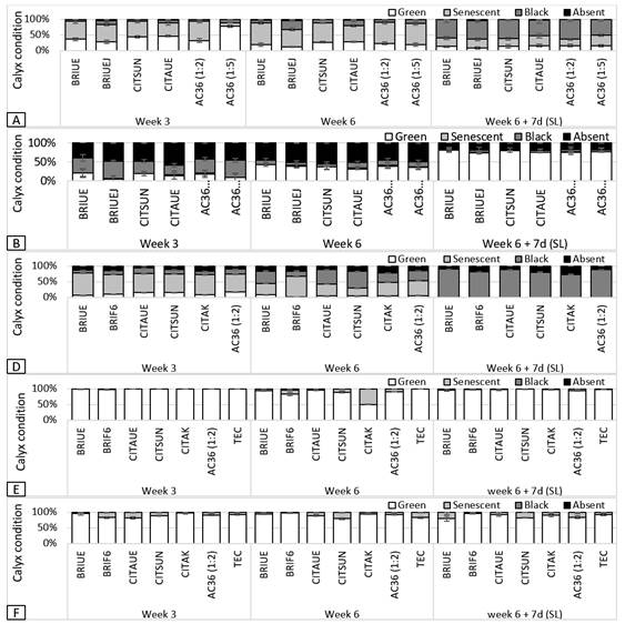 General calyx condition, categorized according to its
senescence as green, senescent, black or absent, in Nules
Clementine mandarin (A) and Navelina orange (B) from
the experimental evaluation, and in Nules Clementine
mandarin (C), New Hall orange (D), Nova mandarin (E) and Salustiana
orange (F) from the commercial evaluation, for each treatment, after 3 and 6
weeks at 1 ± 0.5°C, and 6 weeks + 7 days of shelf life
