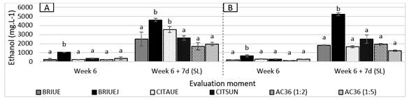 Ethanol concentration (mg.L-1) in Nules
Clementine mandarin (A) and Navelina orange (B) for
each treatment after 6 weeks at 1±0.5°C, and 6 weeks + 7 days of shelf life