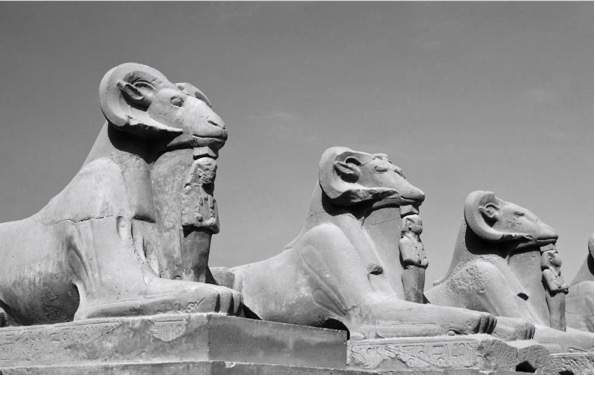 CORREDOR
DE ESFINGES, LUXOR.