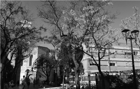 A SAD EXAMPLE OF THE
EFFECT OF DEVELOPMENT IN SPANISH CITIES: THE DESTRUCTION OF THE OLD LITERARY
UNIVERSITY SITUATED IN PLAZA DE LA MAGDALENA, ZARAGOZA.