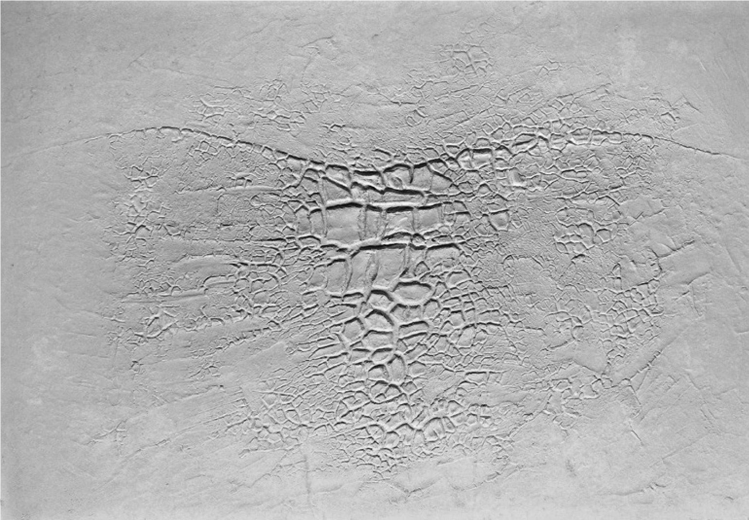 CRETTO. Alberto Burri, 1975. 
