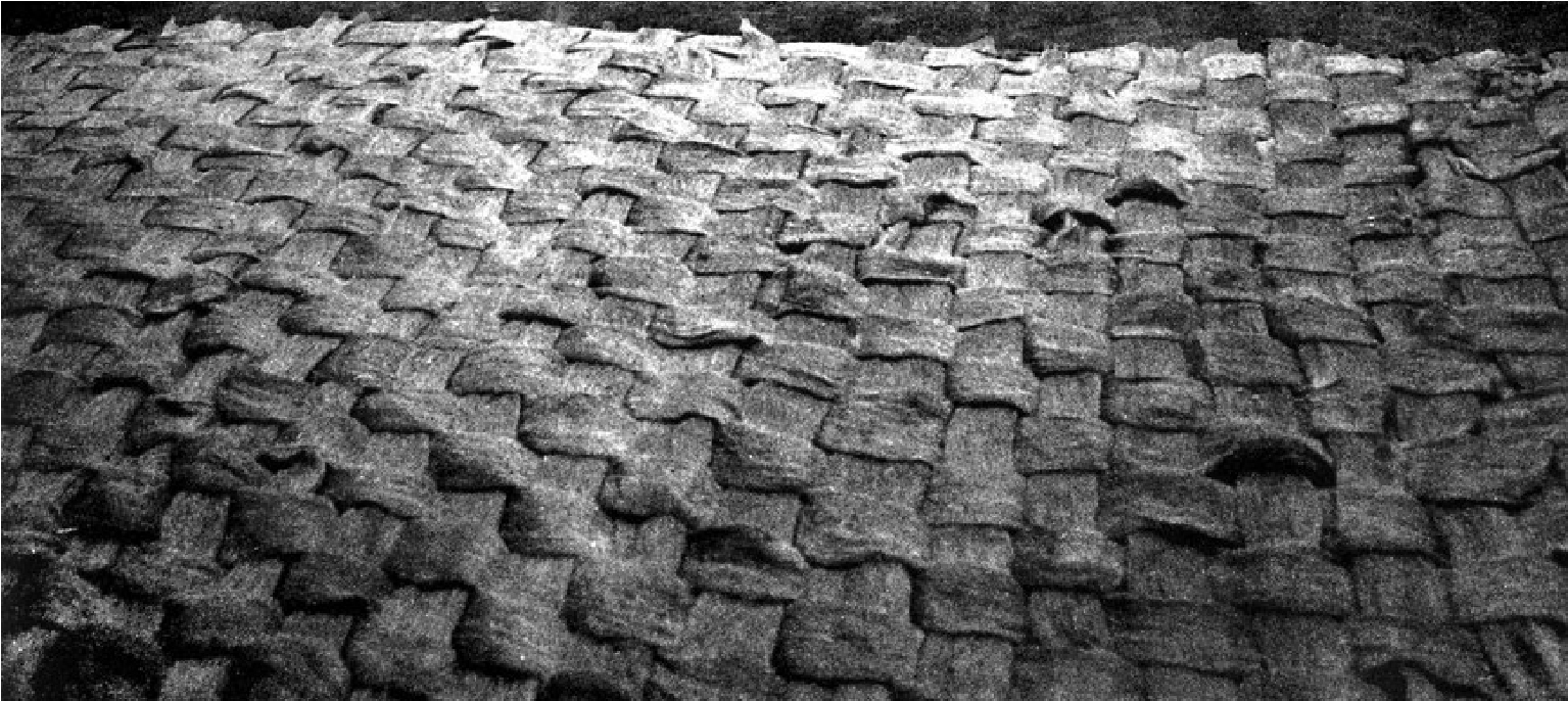 PENELOPE'S
WEB. Pascal Pino, 1968. 