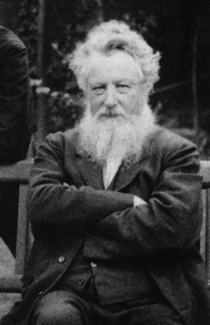 WILLIAM MORRIS, CA.1890. DETALLE. 

Fotograf&iacute;a de Fredrick Holyer.