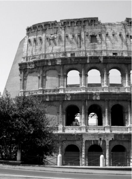 EL COLISEO. Detalle de la intervenci&oacute;n de Raffaelle Stern, Roma