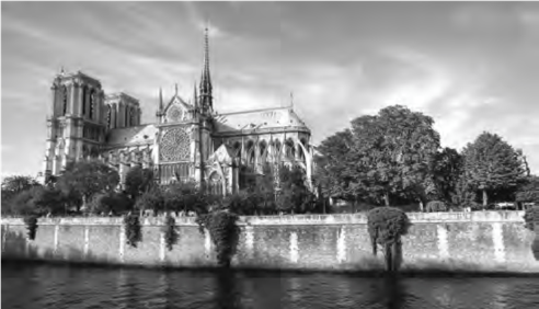 FIGURA 4. CATEDRAL DE NOTRE-DAME DE PAR&Iacute;S EN LA ACTUALIDAD.