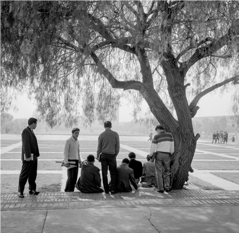 CITTÀ DEL MESSICO, UNIVERSITÀ UNAM. Fotografia di Roberto Pane, 1962.