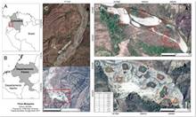 Efectos de minería ilegal periodo 2014-2016