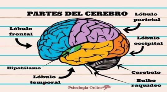 Imagen 1.