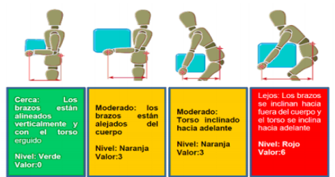 Distancia horizontal entre
las manos y la parte inferior de la espalda,

 