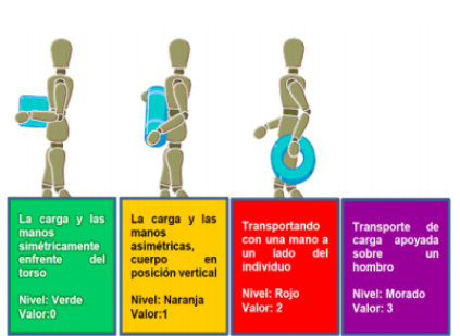 Carga asimétrica sobre el
torso.

 