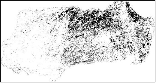 Binarización de MIR, en color negro las zonas anegadas (MIR≤0,1) y color
blanco las zonas no anegadas (MIR>0,1). 



 