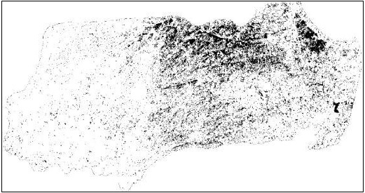 Binarización de NDWIgao, en color negro las zonas anegadas (NDWIgao≥0,4)
y color blanco las zonas no anegadas (NDWIgao<0,4).