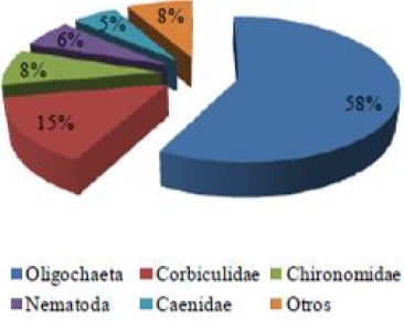  Porcentaje de macroinvertebrados encontrados en ambas campañas de muestreo
(2013-2014) en el tramo analizado.