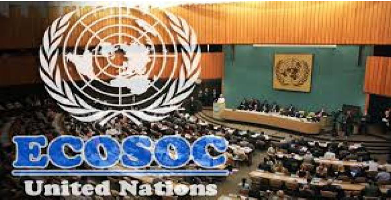 Sesiones del ECOSOC de las Naciones Unidas.