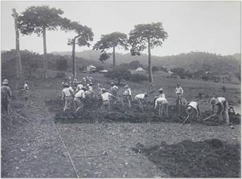 Ejemplo de construcción de caminos a inicio de Siglo
XX. Convictos construyendo un camino entre Pedro Miguel y Miraflores - Zona del
Canal agosto 1910. 