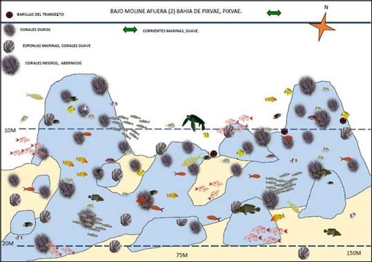 Representación esquemática de Bajo Moliné