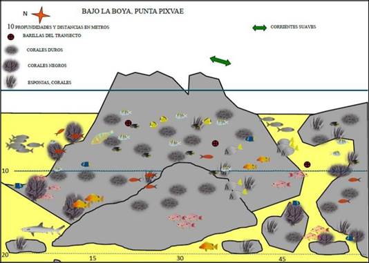Representación esquemática de Bajo la Boya