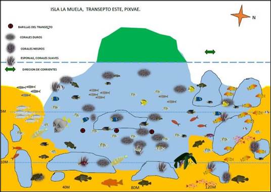 Representación esquemática de Bajo Muela
Este