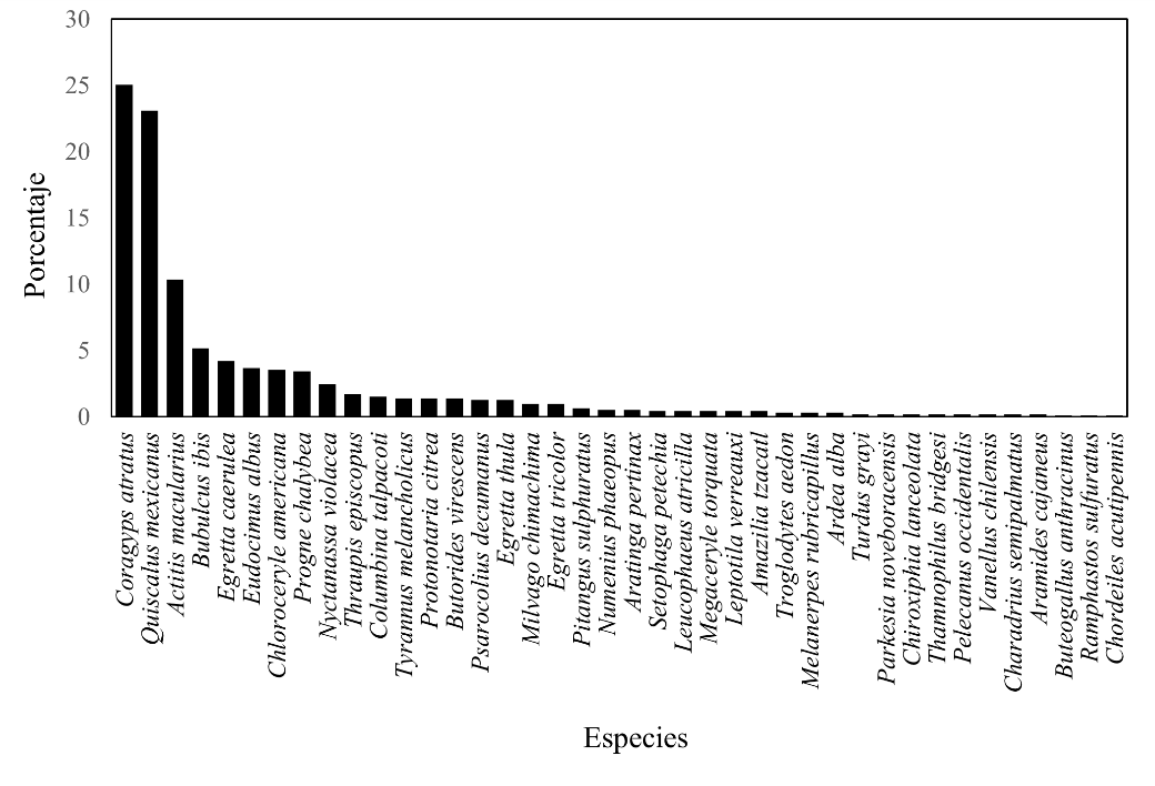 Aporte porcentual de
individuos por especie de aves identificadas en el manglar de Pixvae, Veraguas,
Panamá