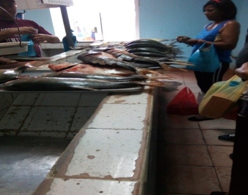 Expendio de pescado fresco en mercado Público de  Penonomé