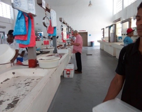 Toma de muestras Rio Hato